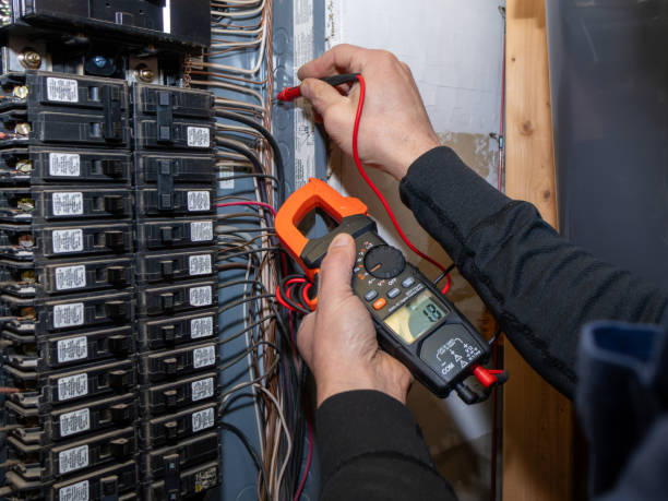 Best Ceiling Fan Installation Electrician  in Sconsin Rapids, WI